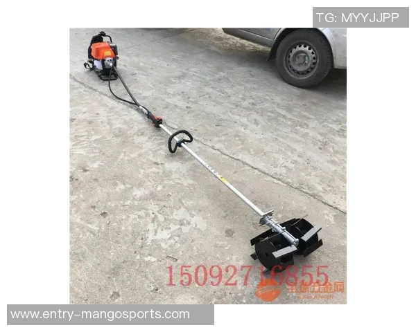 探索多功能体育器材云梯的设计与应用效果图分享